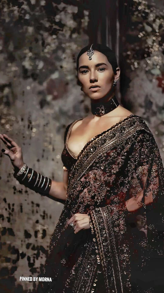 Midnight Gold Zardozi Saree Set